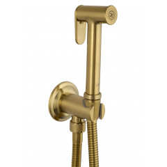 Смеситель с гигиеническим душем встраиваемый WONZON & WOGHAND STEAM, Брашированное золото (WW-88849008-BG)