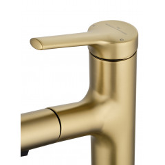 Смеситель для раковины с выдвижным изливом WONZON & WOGHAND, Брашированное золото (WW-A40862-BG)