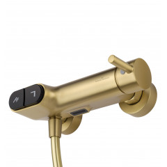 Смеситель для душа с встроенным изливом WONZON & WOGHAND MUSE Corno, Брашированное золото (WW-A30902-BG)