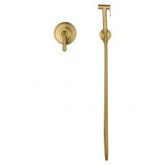 Смеситель с гигиеническим душем встраиваемый WONZON & WOGHAND STEAM, Брашированное золото (WW-88849008-BG)