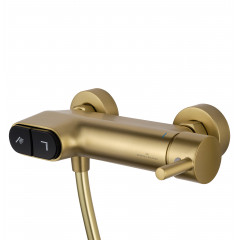 Смеситель для душа с встроенным изливом WONZON & WOGHAND MUSE Corno, Брашированное золото (WW-A30902-BG)